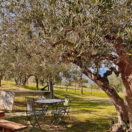 Oasi Macerina Villa Alanno Exteriör bild
