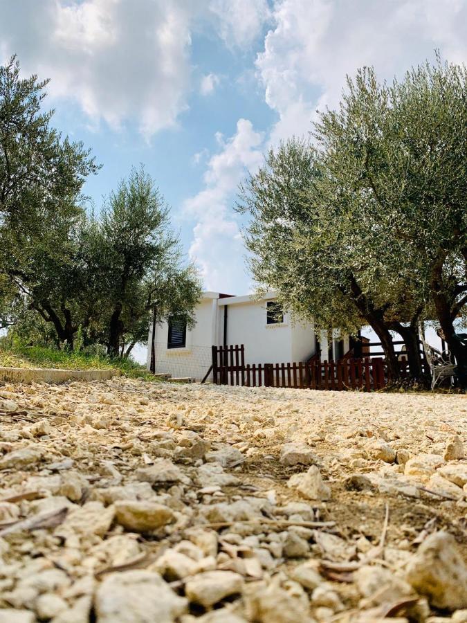 Oasi Macerina Villa Alanno Exteriör bild