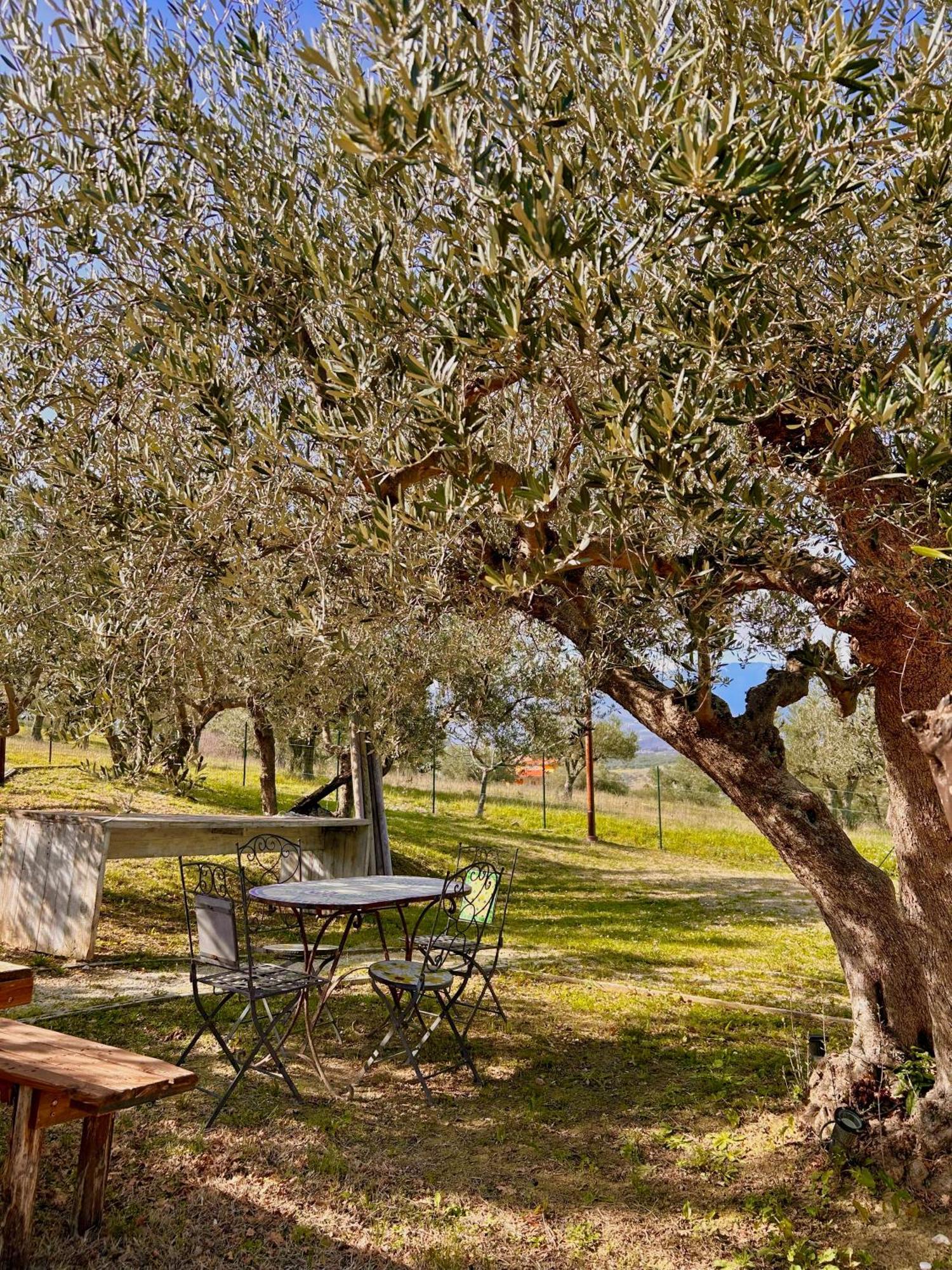 Oasi Macerina Villa Alanno Exteriör bild