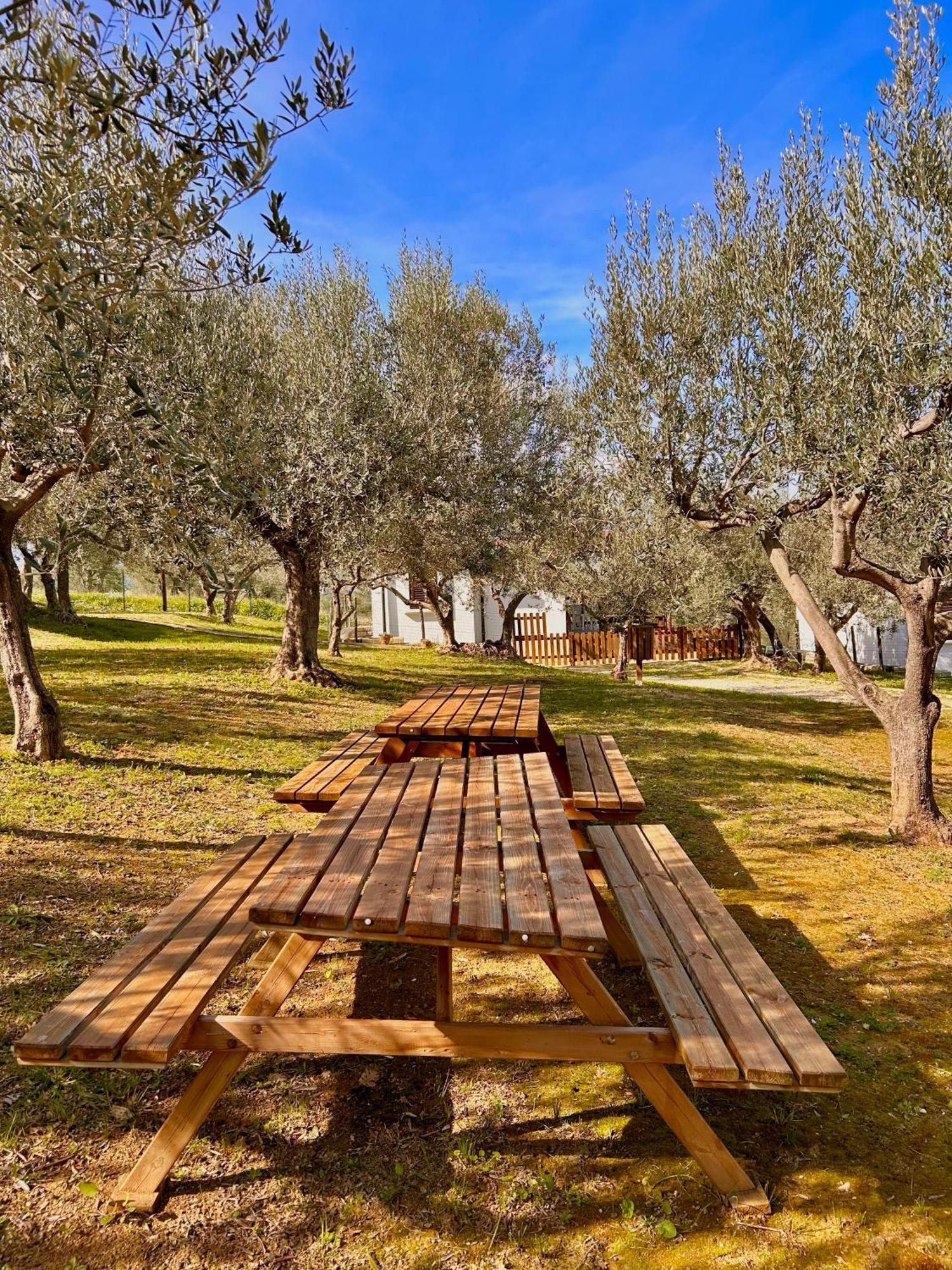 Oasi Macerina Villa Alanno Exteriör bild