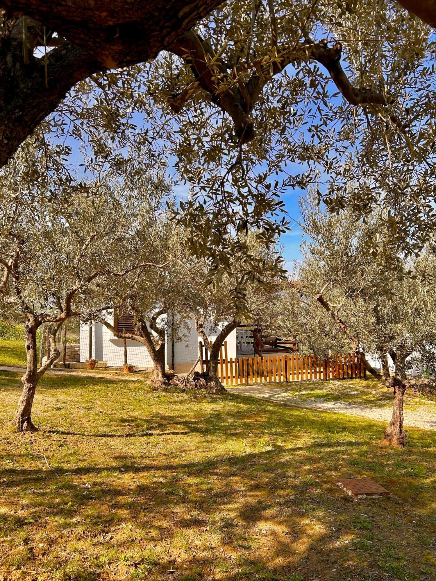 Oasi Macerina Villa Alanno Exteriör bild