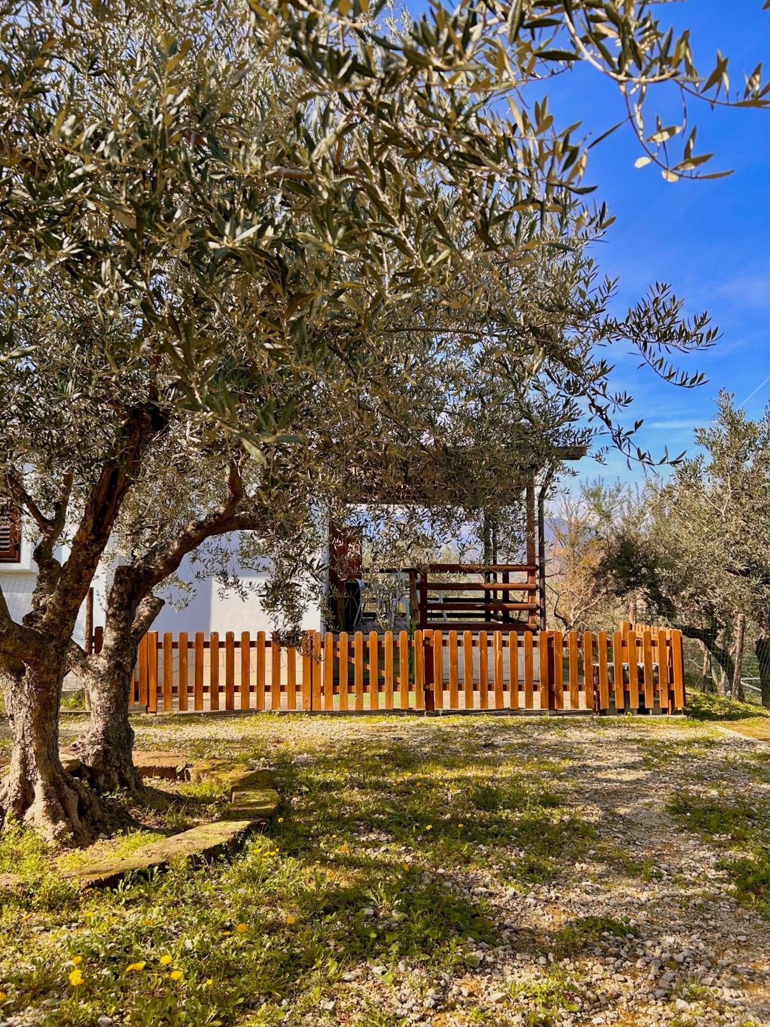 Oasi Macerina Villa Alanno Exteriör bild