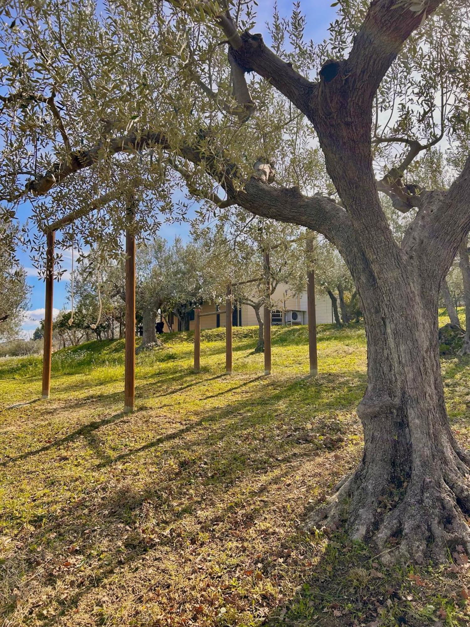 Oasi Macerina Villa Alanno Exteriör bild