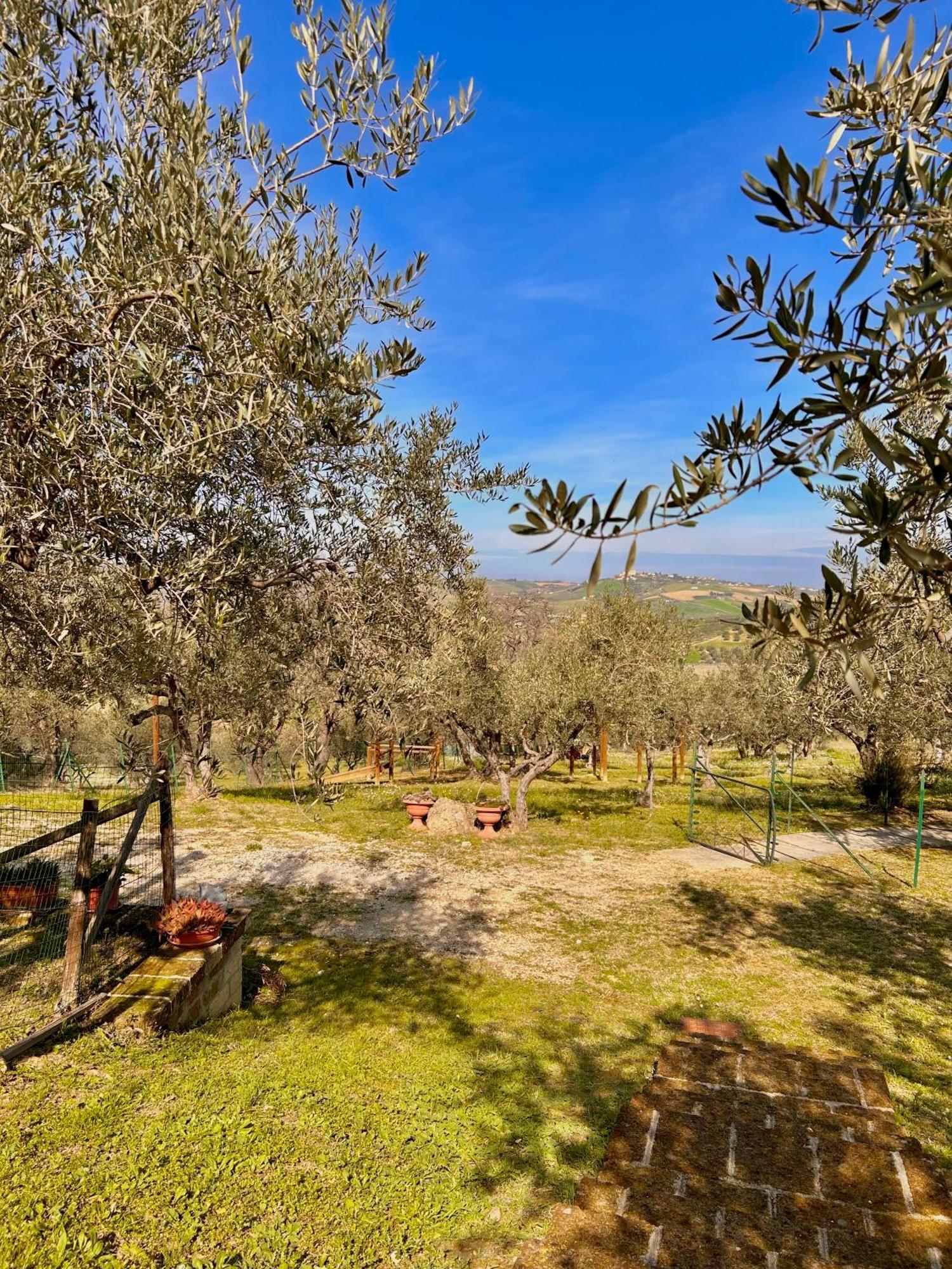 Oasi Macerina Villa Alanno Exteriör bild