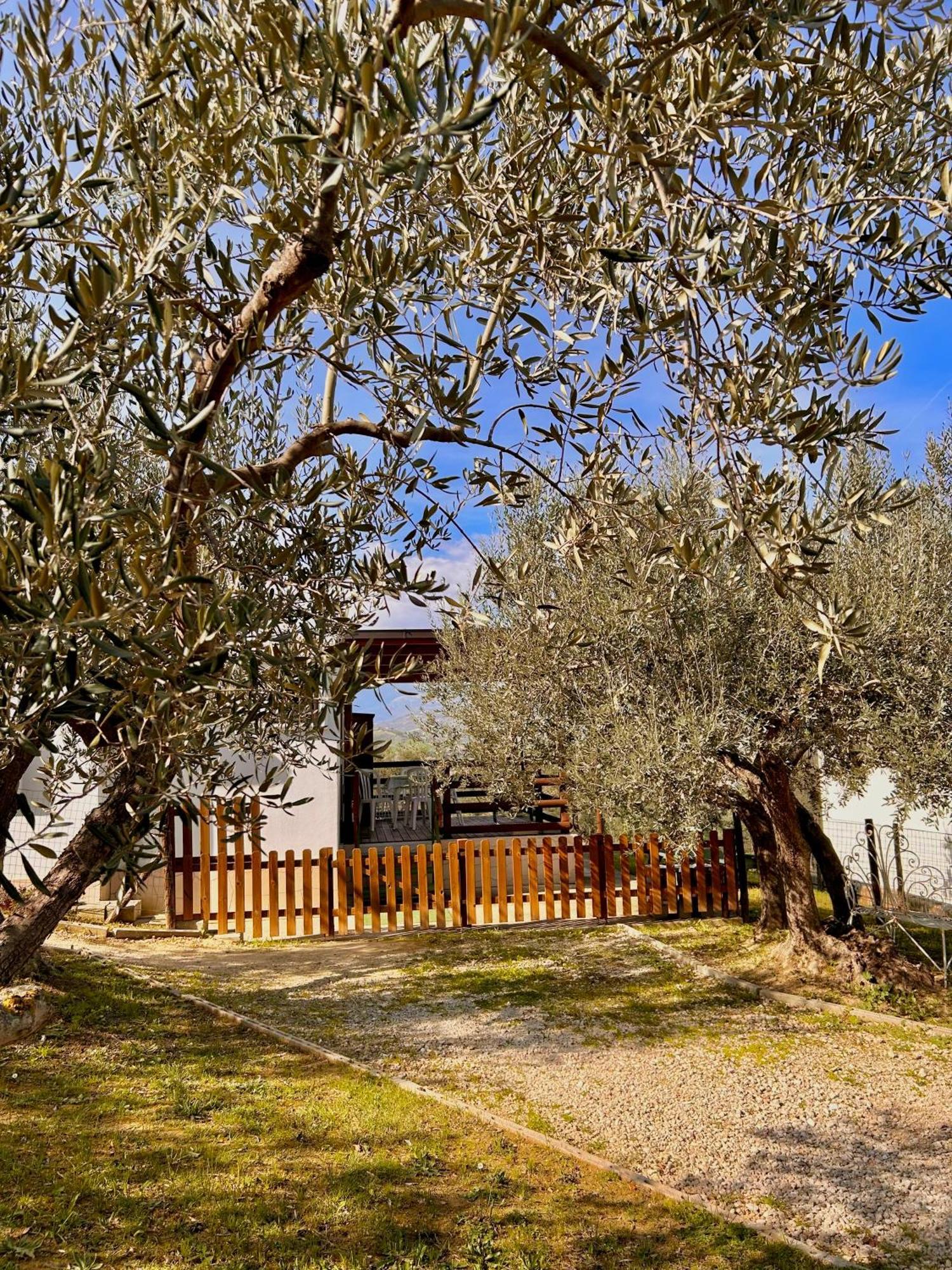 Oasi Macerina Villa Alanno Exteriör bild