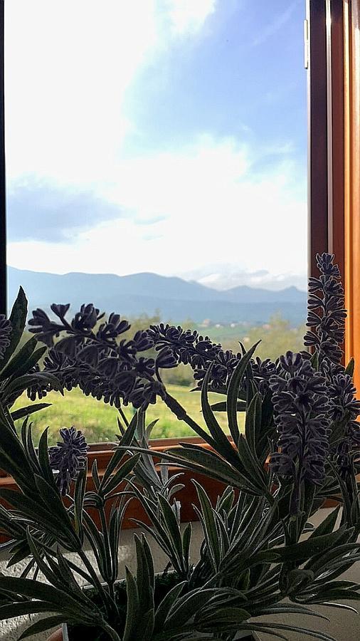 Oasi Macerina Villa Alanno Exteriör bild